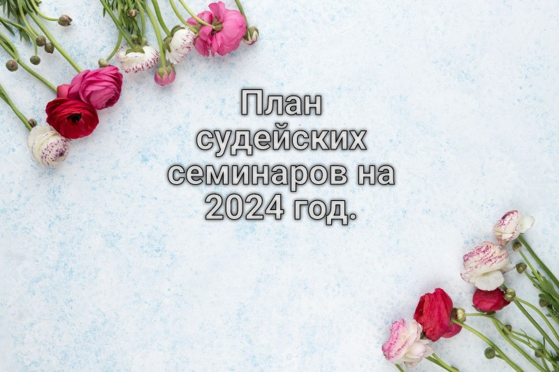 Судейский комитет ОФ СЛА России анонсировал "План судейских семинаров на 2024 год.&quot