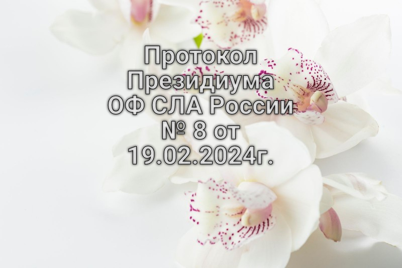 Президиум ОФ СЛА России провел собрание 19 февраля 2024г.
