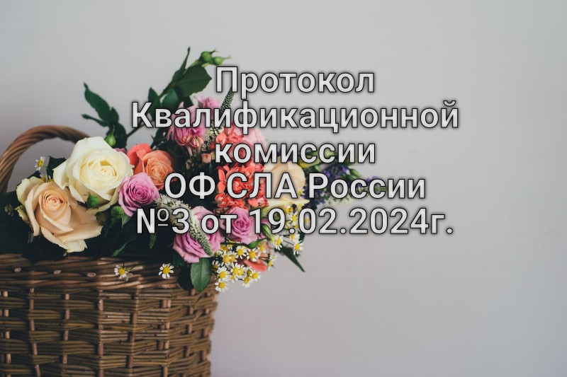 Квалификационная Комиссия ОФ СЛА России провела заседание 19 февраля 2024г.