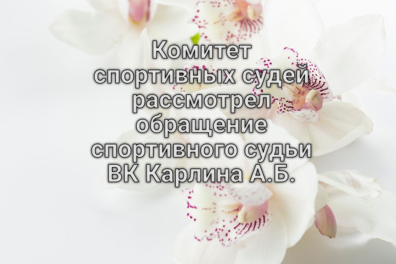 Комитет спортивных судей рассмотрел обращение спортивного судьи ВК Карлина А.Б.