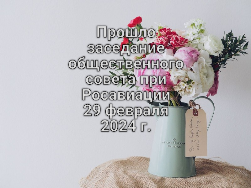 Прошло заседание общественного совета при Росавиации 29 февраля 2024 года